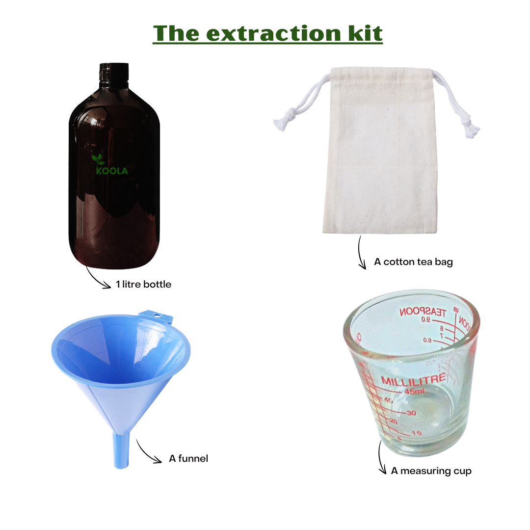 Le kit d&#39;extraction du thé